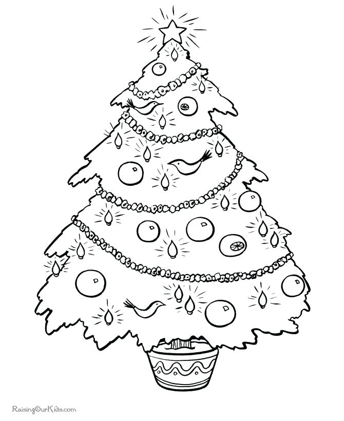 670x820 Printable Drawings Blank Coloring Pages Realistic Trees Tree