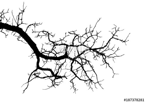 500x354 Realistic Tree Branches Silhouette (Vector Illustration)ai10