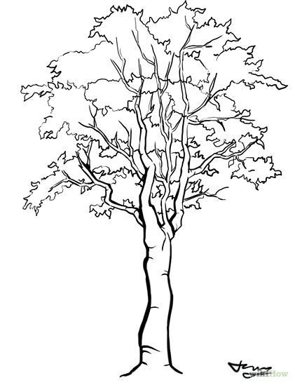 421x549 Stumped Over Super Easy Step By Step Instructions To Draw Trees