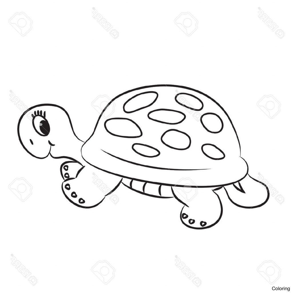 1024x1024 Lid5kj4et How To Draw A Sea Turtle Coloring Drawing Gallery 22f