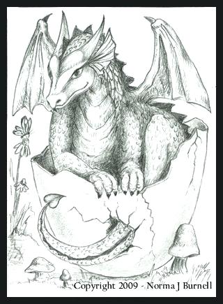320x435 Amazing Real Dragon Coloring Pages Or Dragon Hatching Season