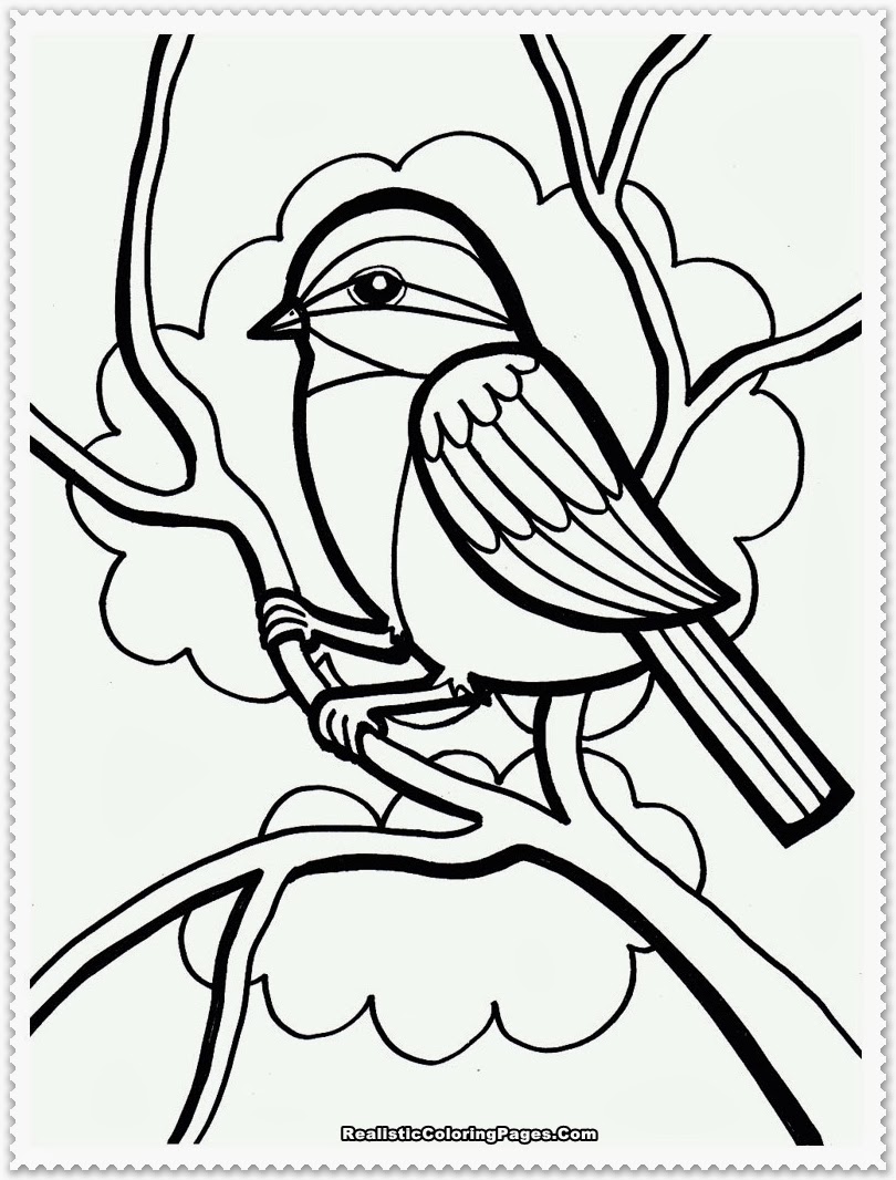 810x1066 Tropical Bird Coloring Pages