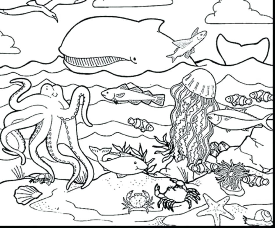 945x785 Water Animals Coloring Pages