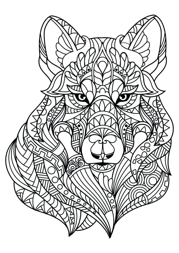 679x960 Grey Wolf Coloring Pages Latest Realistic Wolf Coloring Page Gray
