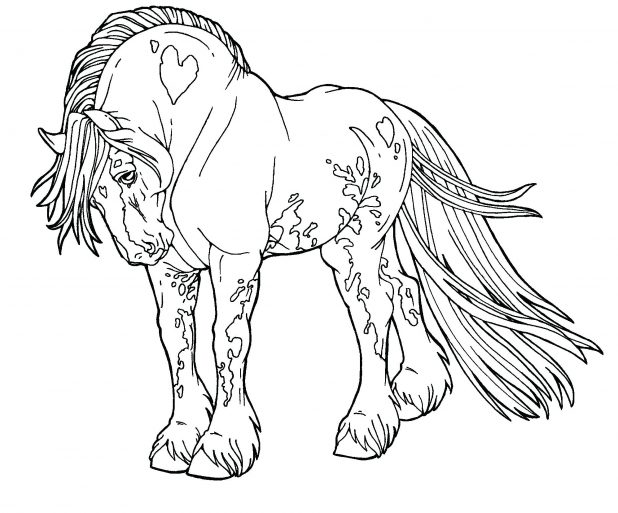 618x513 Gypsy Drawings Free Lines Drum Horse By Digital Art Coloring