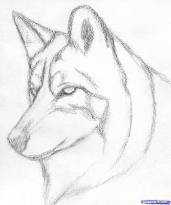 350x420 Image Result For Realistic Wolf Head Tattoo Tribal Cool Drawings