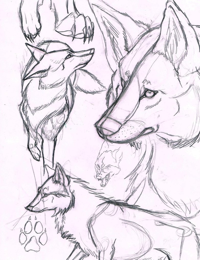 783x1021 Realistic Wolf Practice By Horner735