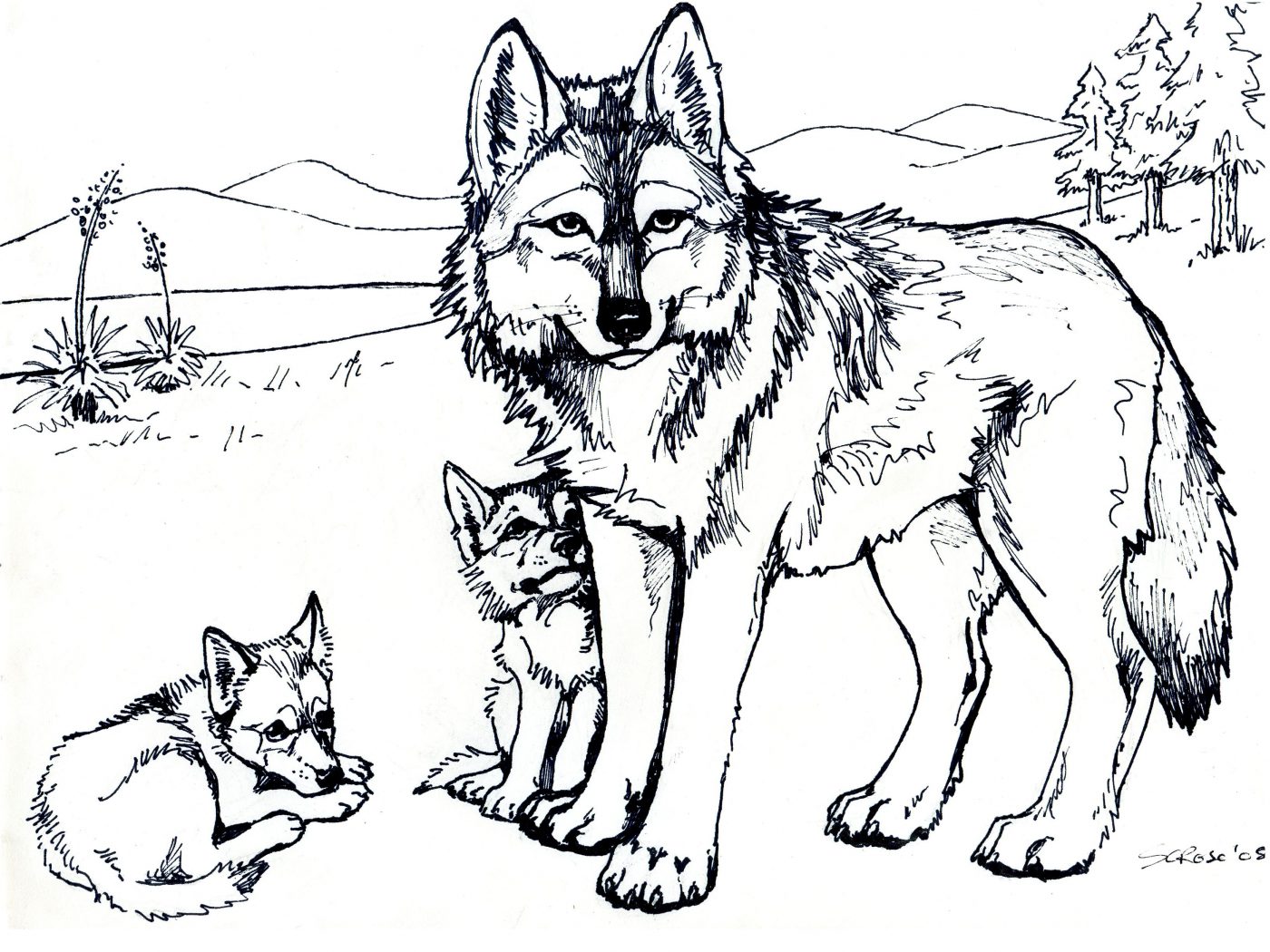 1400x1050 Tattoo Wolf Krissy Tattoos Coloring Pages For Adults Free