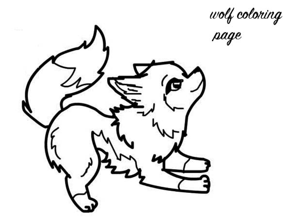 600x450 Wolf Drawings To Color Realistic Wolf Coloring Pages