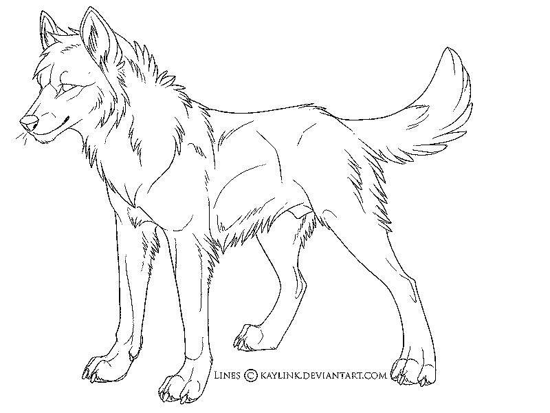 800x600 Coloring Pages Anime Wolfs Wolf Coloring Pages For Adults
