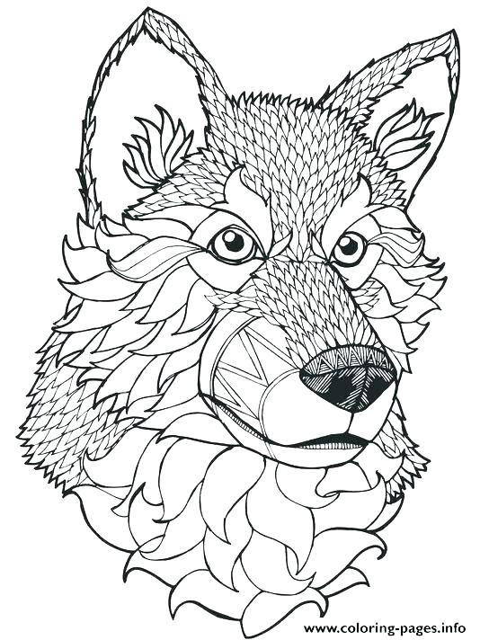 534x712 Elegant Coloring Pages Of Wolves And Wolf Mandala 25 Coloring