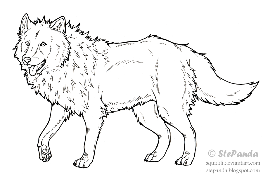 900x596 Free Lineart Adult Wolf By Stepandy On Design