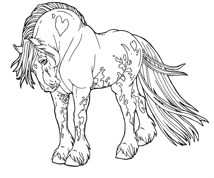 863x716 Gypsy Drawings Free Lines Drum Horse By Digital Art Coloring