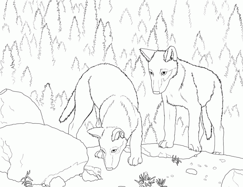 940x726 Printable Pictures Of Wolves Many Interesting Cliparts