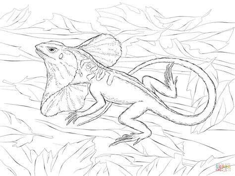 474x355 Realistic Goose Printable Animal Coloring Pages