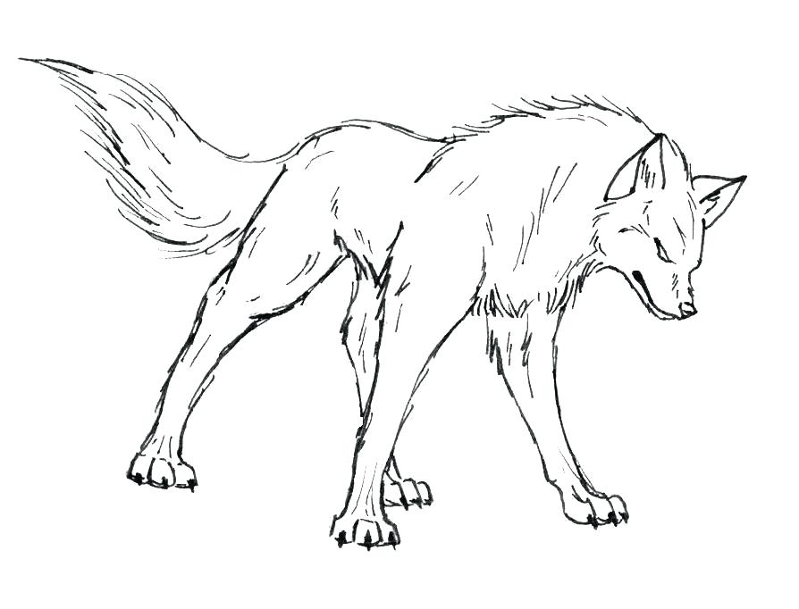 894x682 Coloring Pages Of Wolves Realistic Wolf Coloring Pages For Adults