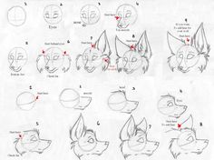 236x176 How To Draw Wolfs