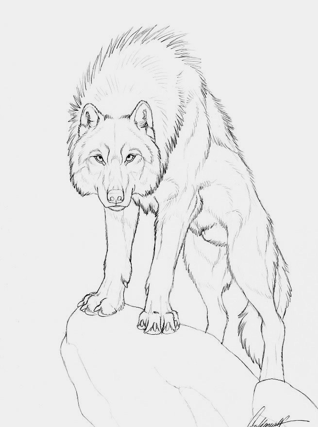 655x879 Pin By Amanda Schmidtke On Wolves Wolf, Drawings