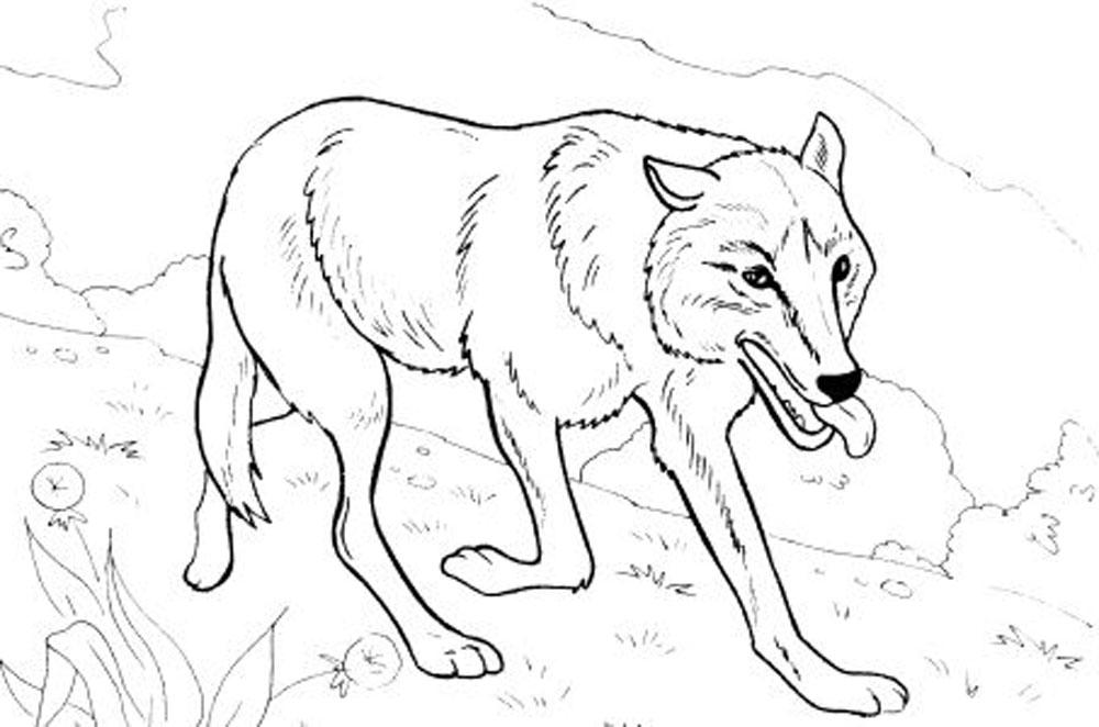 1000x662 Wolf Coloring Pages, Teach Your Children To Be Brave Allmadecine