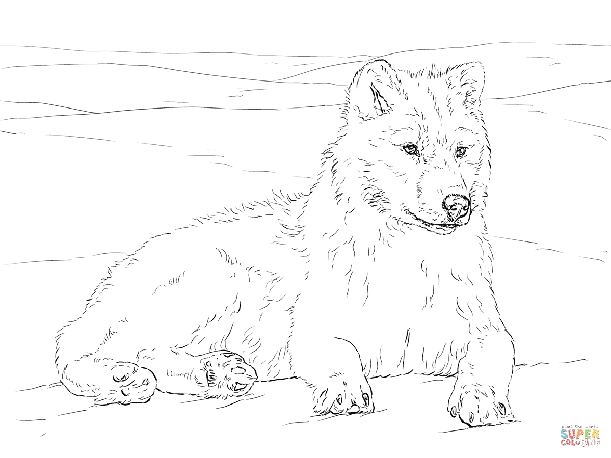 1199x899 Arctic Wolf Coloring Page Free Printable Coloring Pages