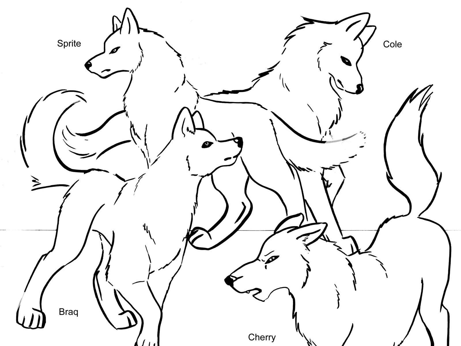 1600x1200 Wolf Coloring Pages To Print Free Printable General Of Pups Arctic