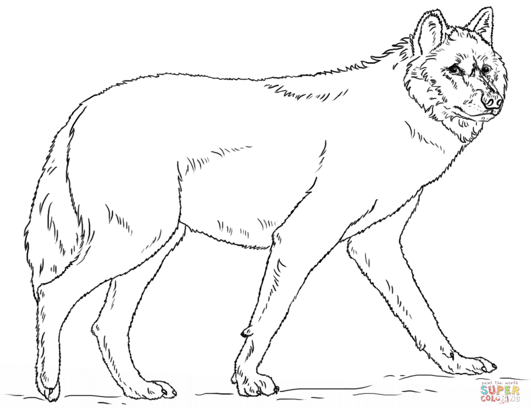 1041x800 Zentangle Realistic Wolf Coloring Pages Free Printable Animals