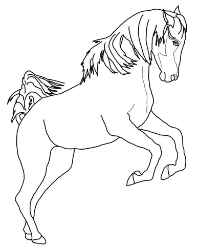 387x480 Rearing Arabian Horse Coloring Page Free Printable Coloring Pages