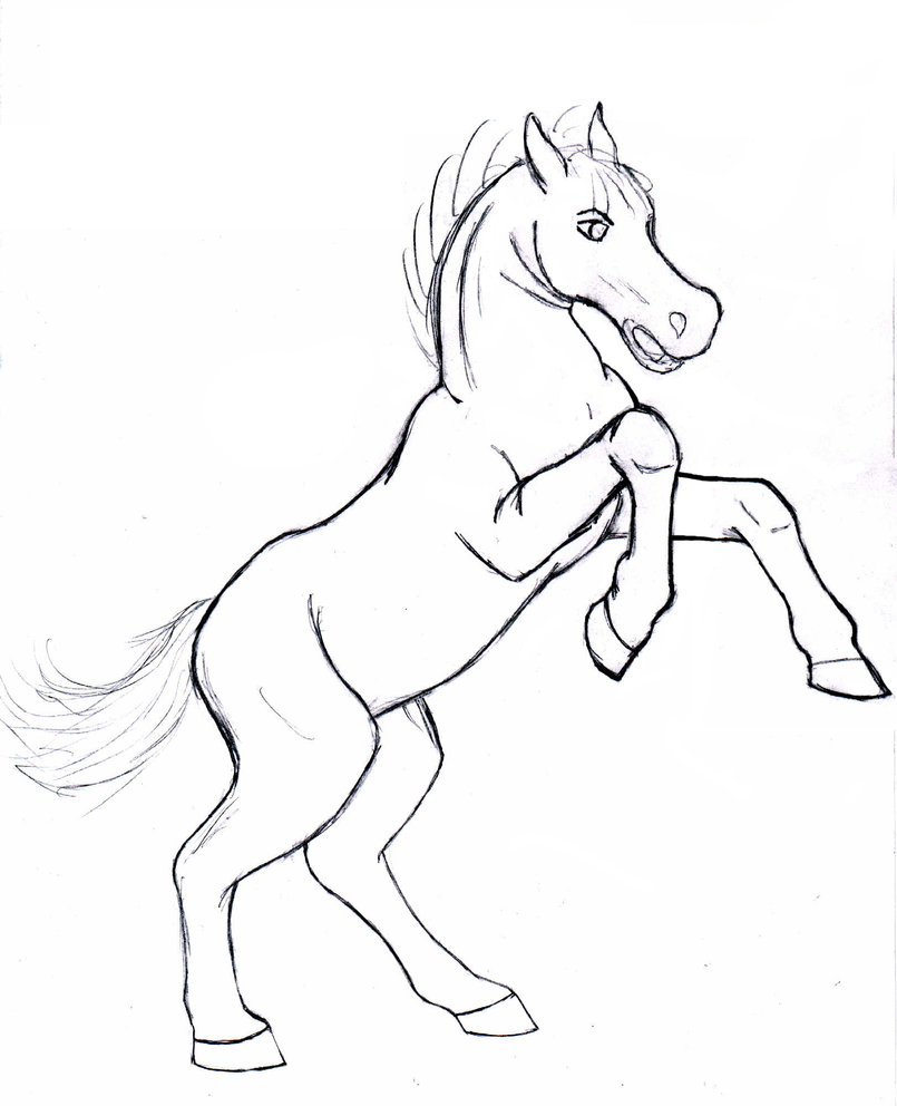 805x992 Rearing Horse By Roseduelistbbshm