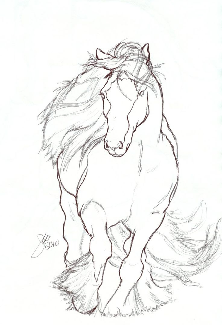 736x1078 Best Pencil Sketches Of Horse 35 Best Pencil Sketch Drawings
