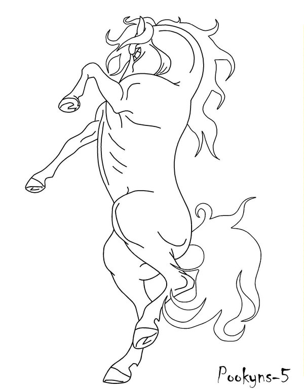600x775 Rearing Horse Lineart By Pookyhorse