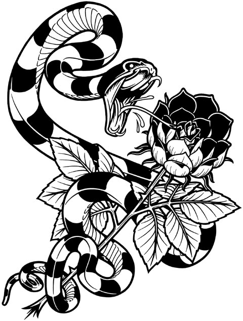 480x634 Snake And Roses Illustration Illustration Snake