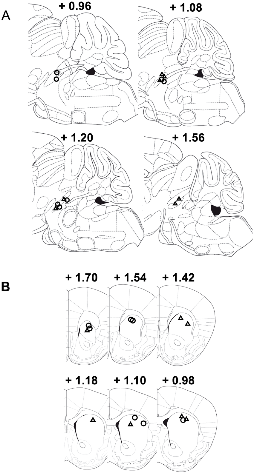 850x1585 Ppt Stimulation Sites (A) And Striatal Recording Sites (B) Used