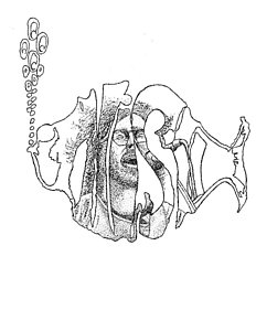 232x300 Recording Artist Drawings Fine Art America