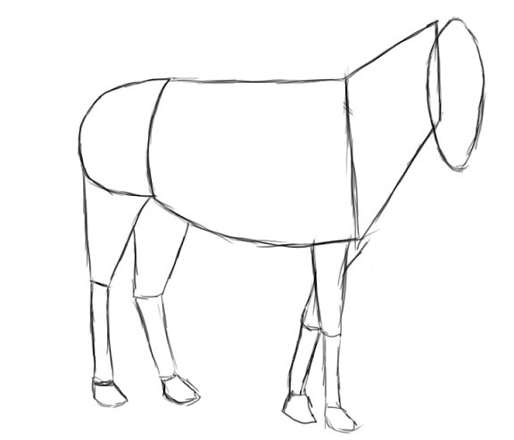 576x494 How To Draw A Horse