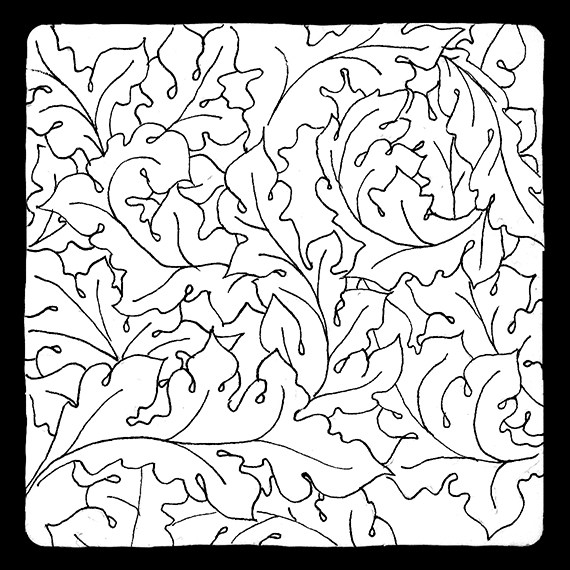 570x570 Icanthis Square One Focus A Tangler's Mind