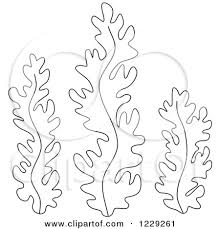 220x229 Image Result For Seaweed Drawing Inspiration