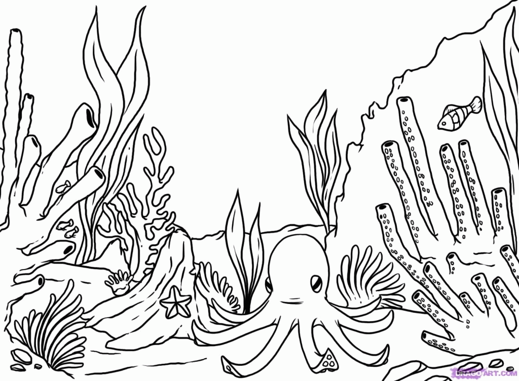 1024x752 Image Result For Seaweed Outline Coloring Pages 6