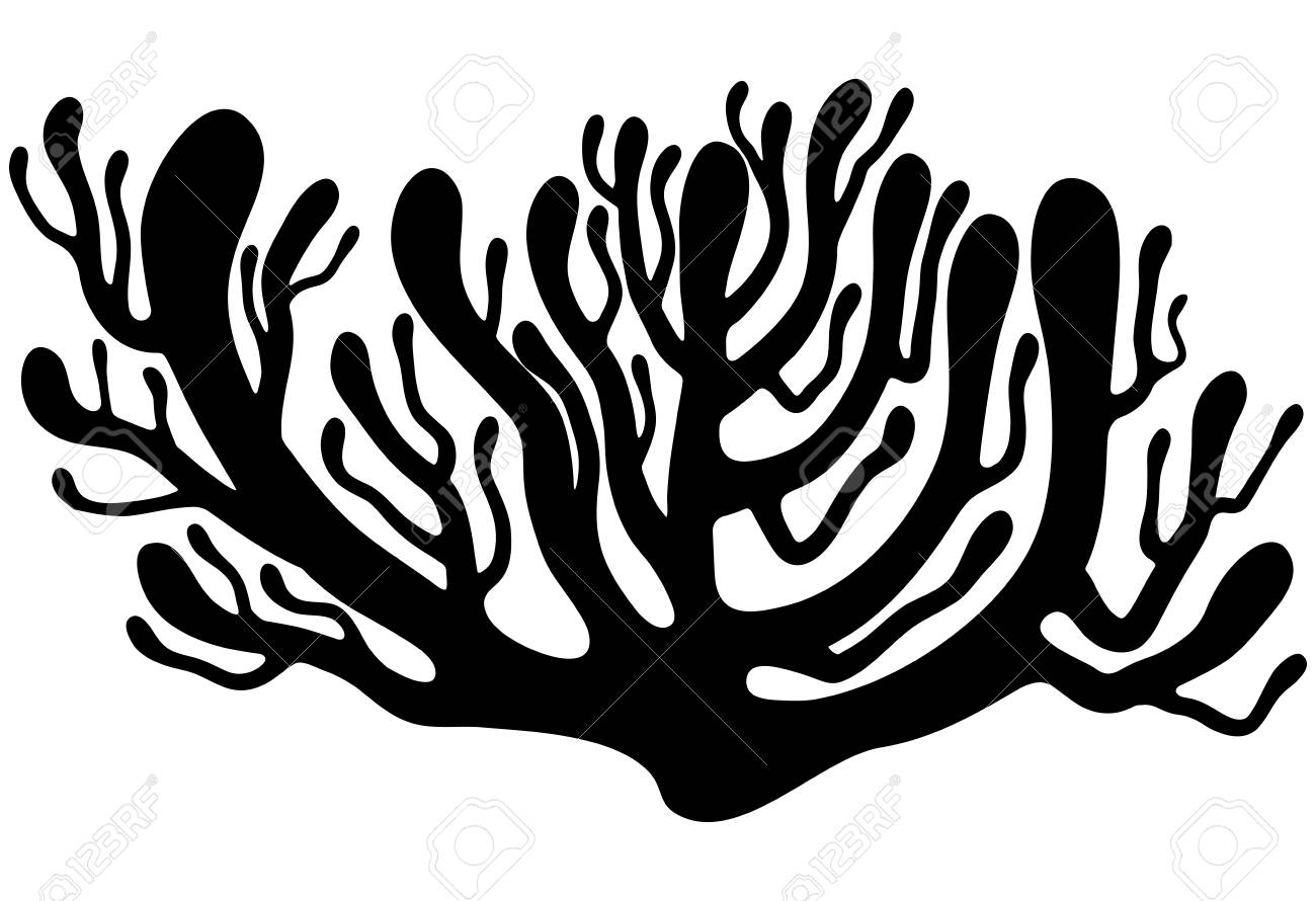 1300x890 Red Algae Silhouette Vector Symbol Icon Design. Beautiful