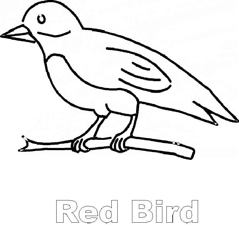 764x756 A To Z Kids Stuff Red Bird
