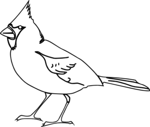 299x252 Red Bird Clipart Black And White