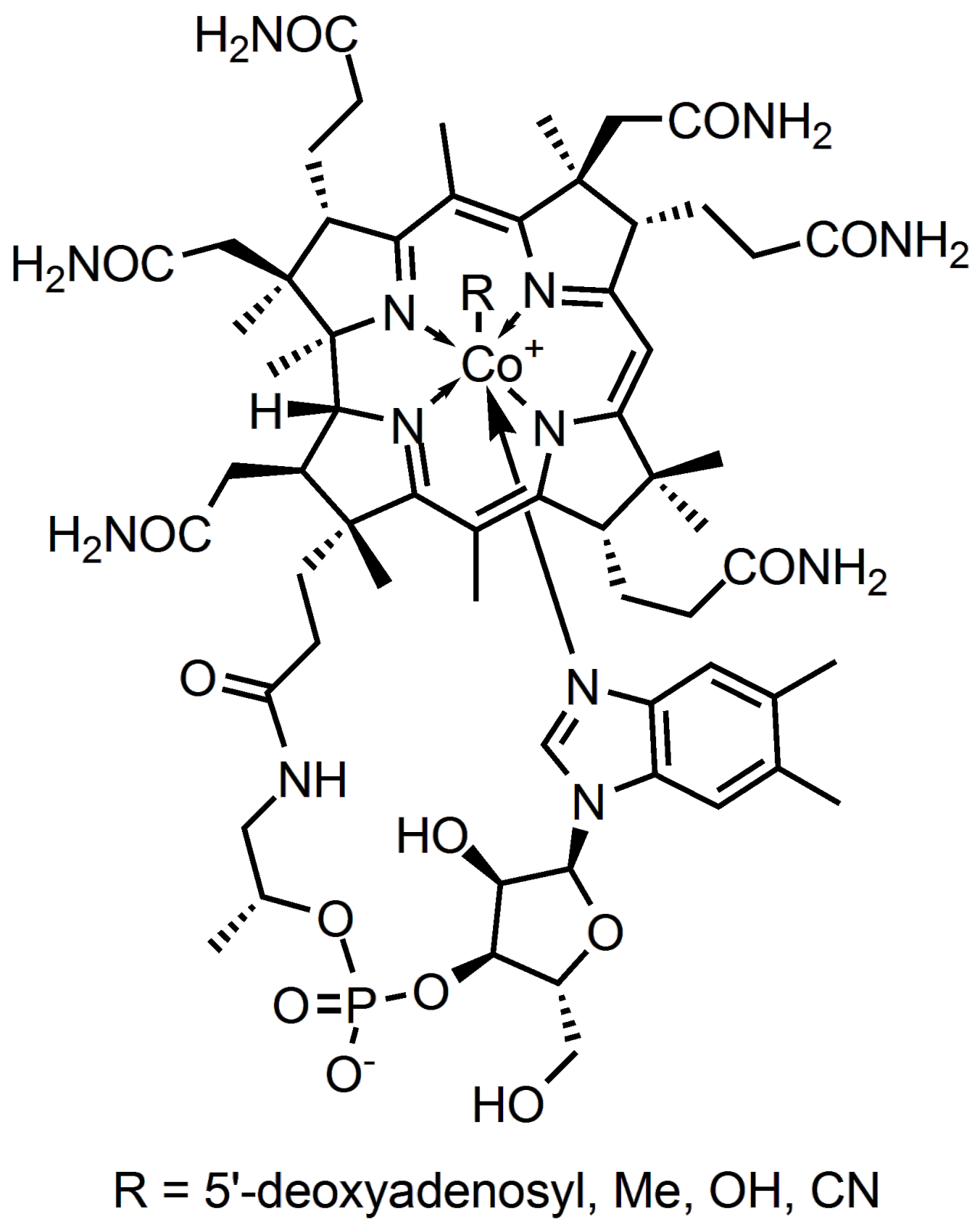 1280x1603 Are You Tired All Time Vitamin B12 Deficiency Could Be