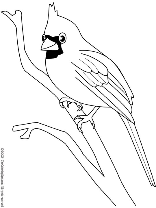 540x720 Cardinal Coloring Pages