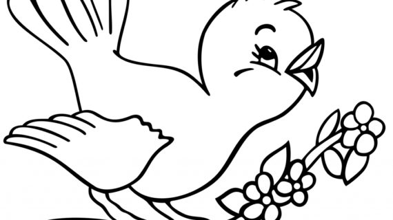 570x320 Pictures Of Birds For Drawing How To Draw A Red Bird, Red Cardinal