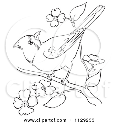 450x470 Red Bird Black And White Clipart