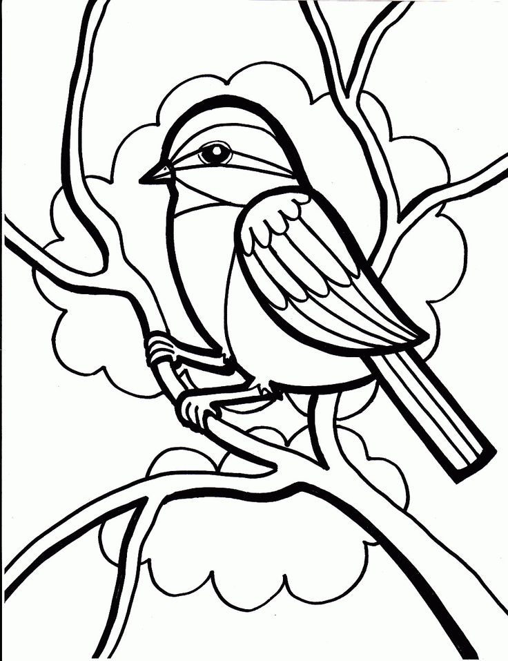 736x957 Cardinal Bird Coloring Page