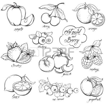 450x441 Raspberry Drawing Stock Photos. Royalty Free Business Images
