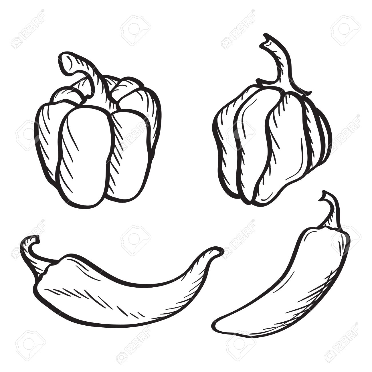 1300x1300 Artistic Hand Drawn Sketches Of Hot Chili, Habanero And Jalapeno