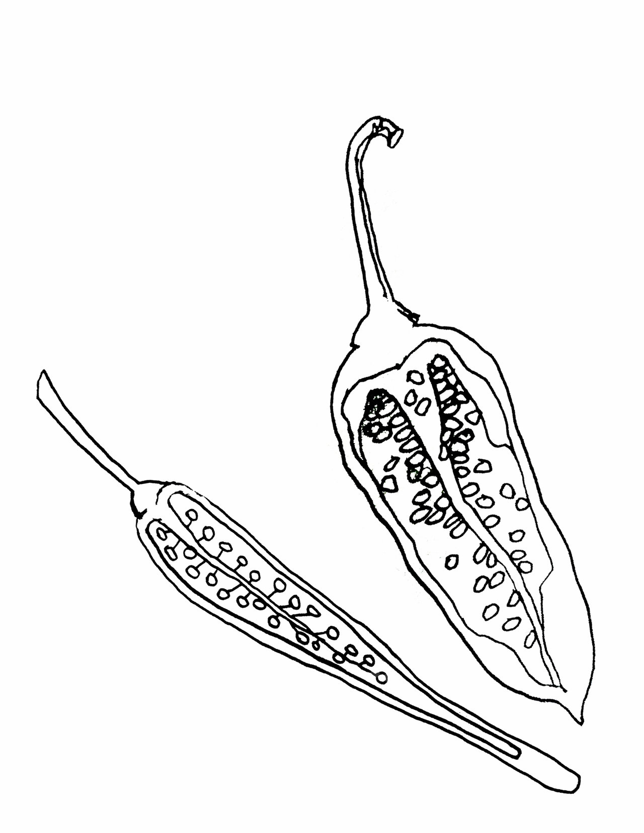 1280x1656 Chilli Halves White By Alexblur8