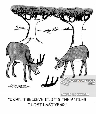 400x477 Red Deer Cartoons And Comics