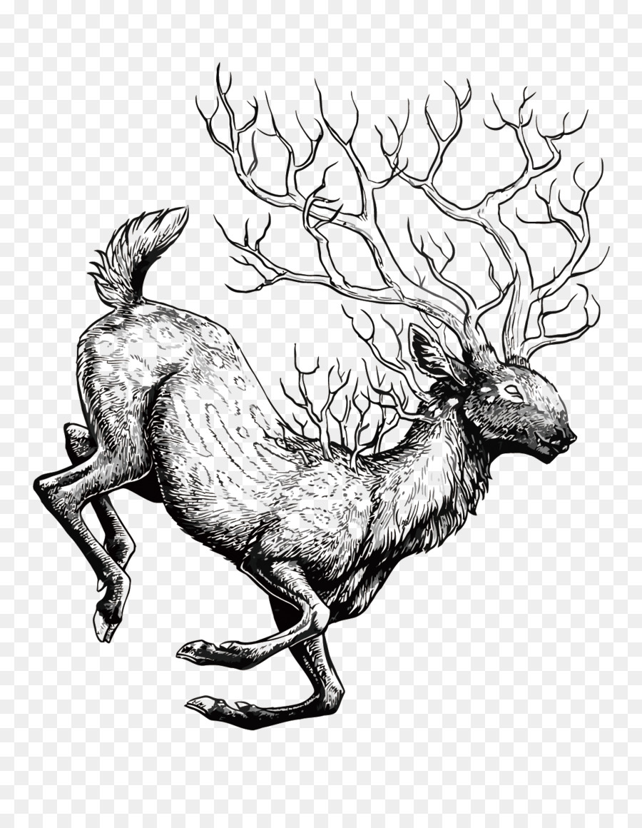900x1160 Reindeer Red Deer